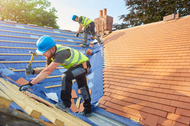 Best Solar Panel Roofing Installation  in Arcade, GA